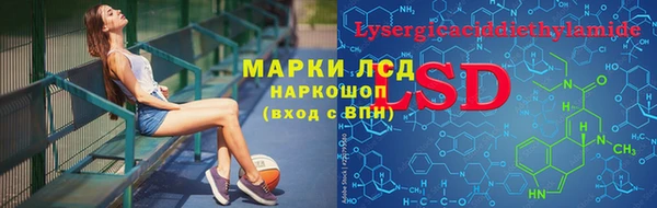 индика Мегион