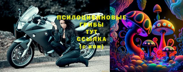 индика Мегион