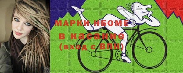 индика Мегион