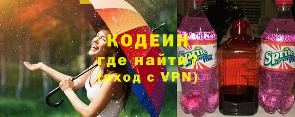 индика Мегион