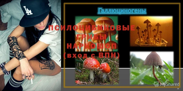 винт Михайлов