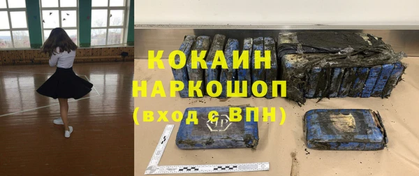 индика Мегион