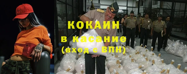 индика Мегион