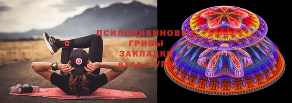 индика Мегион